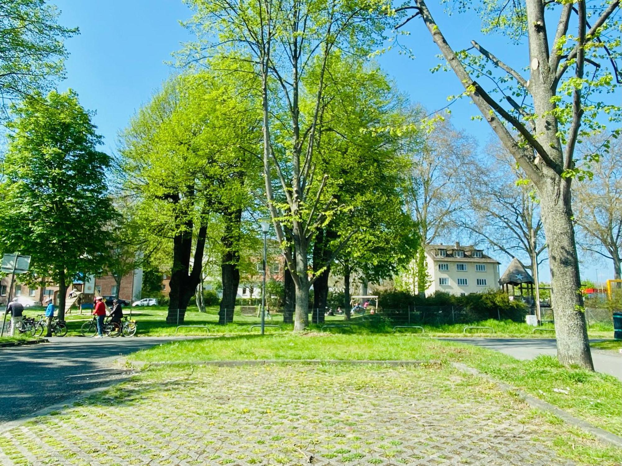 Kassel: Alles, Was Du Brauchst! 外观 照片